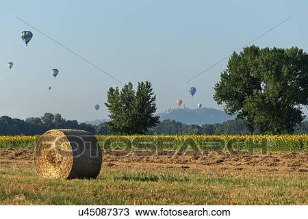 Stock Image - Todi Mongolfiere Hot Air Balloon Festival; hot air balloons in sky over freshly mown hay and sunflower fields, with foreground hay bale, in Middle Tiber Valley, with hilltop town of Todi in distance, in early morning sunshine, Umbria, Italy. Fotosearch