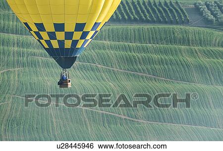 Todi Mongolfiere Hot Air Balloon Festival; blue and yellow checkered hot air balloon in sky over green undulating fields in Middle Tiber Valley in early morning sunshine, aerial view, Umbria, Italy View Large Photo Image Stock Photograph - Todi Mongolfiere Hot Air Balloon Festival; blue and yellow checkered hot air balloon in sky over green undulating fields in Middle Tiber Valley in early morning sunshine, aerial view, Umbria, Italy. Fotosearch