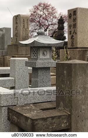 Stock Image - Tokyo, Japan: March 2, 2013 - Japanese gravestones in cemetery with beautiful surrounding landscaping of trees and bushes, with almond blossom in spring, Tokyo, Japan. Fotosearch
