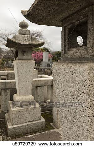 Stock Photo - Tokyo, Japan: March 2, 2013 - Japanese gravestones in cemetery with beautiful surrounding landscaping of trees and bushes, with almond blossom in spring, Tokyo, Japan. Fotosearch