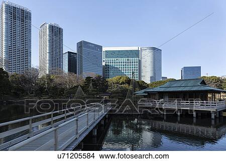 View extending across Japanese cedar Otsutai-bashi bridge to Nakajima teahouse near Shiroiri Pond with landscaped gardens and modern highrise buildings of Higashi-Shimbashi district beyond, Tokyo, Japan View Large Photo Image Picture - View extending across Japanese cedar Otsutai-bashi bridge to Nakajima teahouse near Shiroiri Pond with landscaped gardens and modern highrise buildings of Higashi-Shimbashi district beyond, Tokyo, Japan. Fotosearch