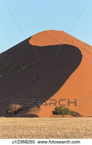 View of lines of red sand dune with different tones in shadow of late afternoon sunlight, trees at base, blue sky above, Namib desert, Namibia, South West Africa View Large Photo Image Stock Photography - View of lines of red sand dune with different tones in shadow of late afternoon sunlight, trees at base, blue sky above, Namib desert, Namibia, South West Africa. Fotosearch