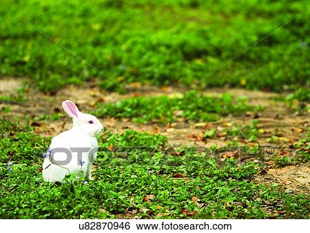 animal attitudes, animal kingdom, animal View Large Photo Image Stock Photograph - animal attitudes, animal kingdom, animal. Fotosearch