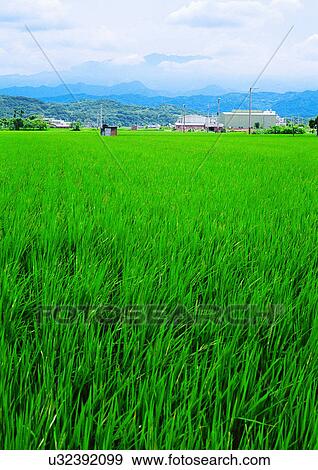 Stock Photo - Architecture, Blue Sky, Building Structure, Building Exterior, Building, Agriculture. Fotosearch
