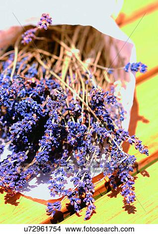 Picture - Arrangement, Bundle, Bunch, Bouquet, Aromatic. Fotosearch