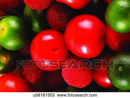 assorted, choice, berries, abundance View Large Photo Image Stock Image - assorted, choice, berries, abundance. Fotosearch