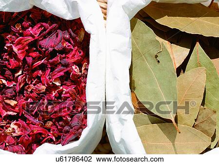 Assorted, Day, Bay Leaf, Bags, Aromatic View Large Photo Image Stock Image - Assorted, Day, Bay Leaf, Bags, Aromatic. Fotosearch