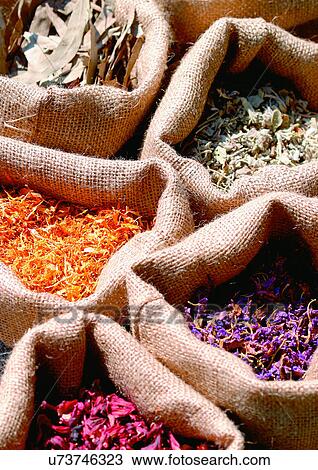 Assorted, Day, Compartments, Bags, Aromatic View Large Photo Image Stock Image - Assorted, Day, Compartments, Bags, Aromatic. Fotosearch