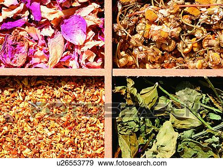 Stock Photo - Assorted, Display, Day, Compartments, Aromatic. Fotosearch