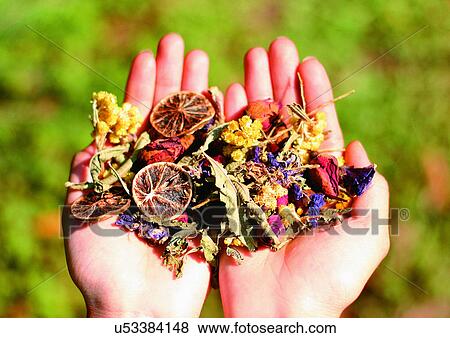 Stock Photo - Assorted, Flavor, Dried, Day, Aromatic. Fotosearch