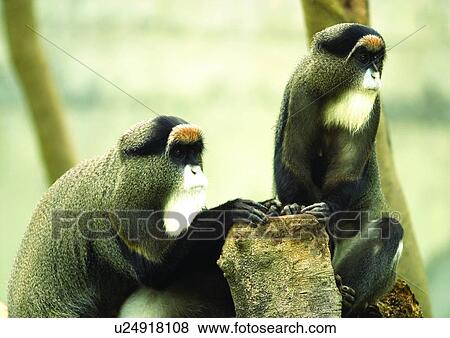 Stock Photo - attitude. Fotosearch