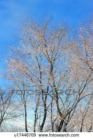 Stock Photo - Background, Day, Outdoor. Fotosearch