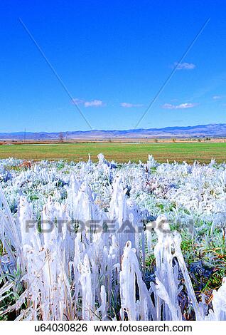 Background, Day, Outdoor View Large Photo Image Stock Photograph - Background, Day, Outdoor. Fotosearch
