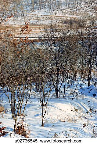 Stock Photography - Background, Day, Outdoor. Fotosearch