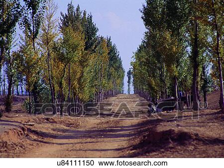 Stock Image - Backgrounds, Day, Outdoor. Fotosearch