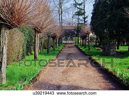 Stock Image - Backgrounds, Day. Fotosearch