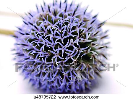 Stock Image - Ball, Decorating, Close-Up, Grainy. Fotosearch