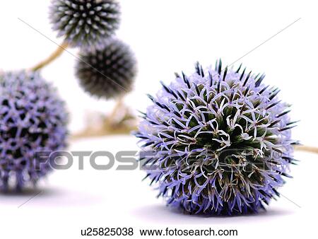 Stock Photo - Ball, Decorating, Close-Up, Grainy. Fotosearch