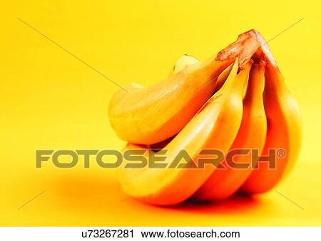 banana, close-up, display, fresh fruit View Large Photo Image Stock Image - banana, close-up, display, fresh fruit. Fotosearch
