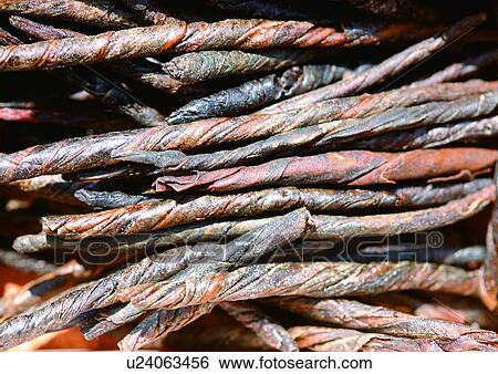 Bark, Dried, Day, Close-Up, Aromatic View Large Photo Image Stock Photograph - Bark, Dried, Day, Close-Up, Aromatic. Fotosearch