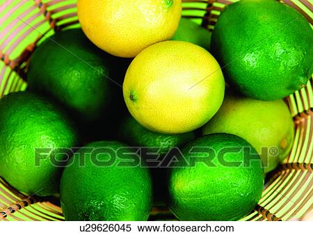 basket, citrus fruit, close-up, fresh fruit View Large Photo Image Stock Photography - basket, citrus fruit, close-up, fresh fruit. Fotosearch