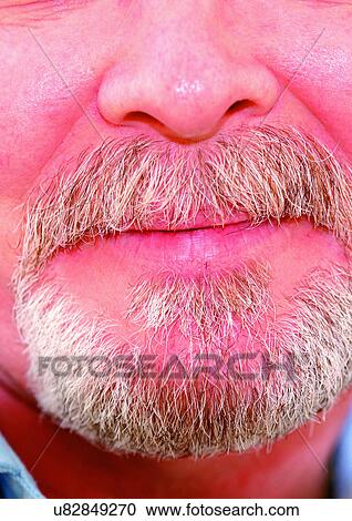 Stock Image - Beard, Chin, Close-Up, Facial Hair. Fotosearch