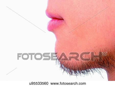 Beard, Chin, Close-Up, Facial Hair View Large Photo Image Stock Image - Beard, Chin, Close-Up, Facial Hair. Fotosearch