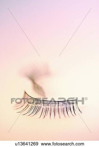 beautification, beauty product, beauty, accessories View Large Photo Image Stock Photo - beautification, beauty product, beauty, accessories. Fotosearch