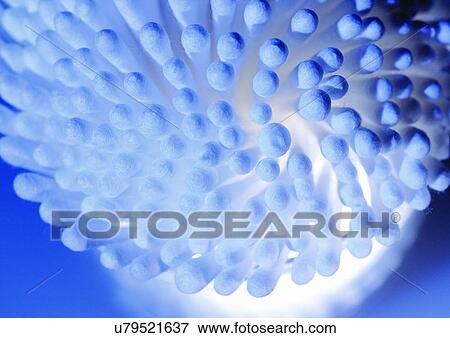 beautification, beauty product, beauty, accessories View Large Photo Image Stock Photo - beautification, beauty product, beauty, accessories. Fotosearch