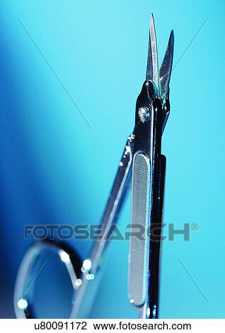 beauty, beauty product, accessories View Large Photo Image Stock Image - beauty, beauty product, accessories. Fotosearch