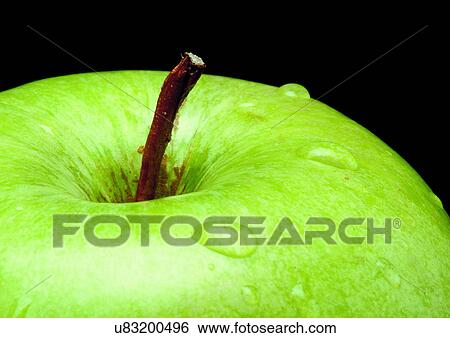 Stock Photograph - Black Background, Indoor, One Object. Fotosearch