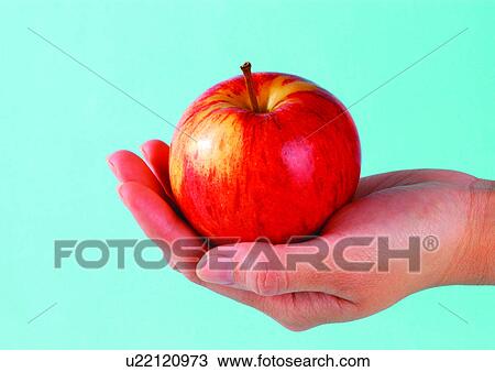 blue, fresh fruit, close-up, apple View Large Photo Image Stock Image - blue, fresh fruit, close-up, apple. Fotosearch