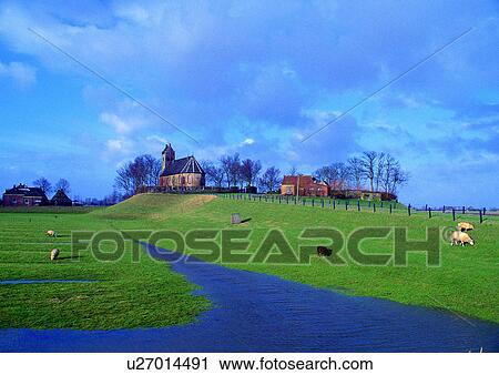 Blue Sky, Building, Building Exterior, Building Structure, Architecture, Cattle View Large Photo Image Stock Image - Blue Sky, Building, Building Exterior, Building Structure, Architecture, Cattle. Fotosearch