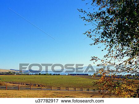 Blue Sky, Day, Environment, Fence, Field View Large Photo Image Stock Photo - Blue Sky, Day, Environment, Fence, Field. Fotosearch