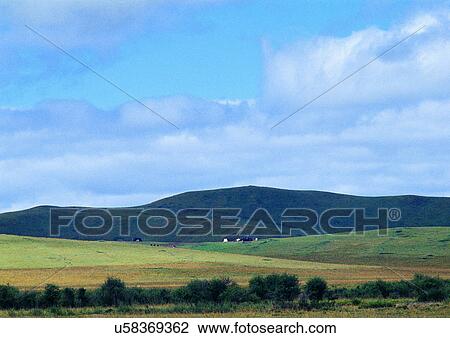 Blue Sky, Day, Environment, Field, Grass View Large Photo Image Stock Image - Blue Sky, Day, Environment, Field, Grass. Fotosearch