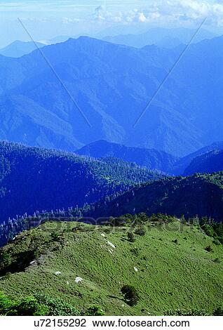 Blue Sky, Day, Environment, Field, Grass View Large Photo Image Stock Image - Blue Sky, Day, Environment, Field, Grass. Fotosearch