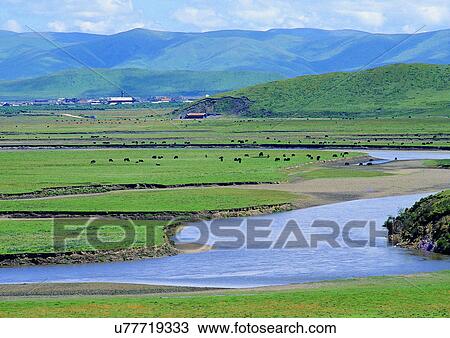 Stock Image - Blue Sky, Day, Environment, Field, Grass. Fotosearch