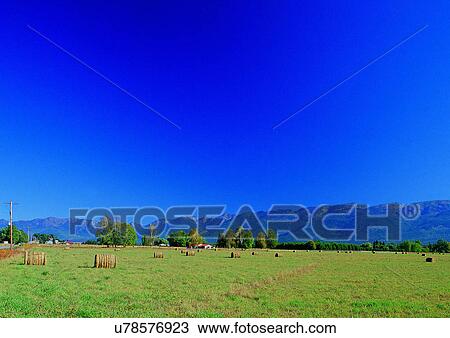 Stock Image - Blue Sky, Day, Environment, Field, Grass. Fotosearch