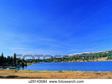 Picture - Blue Sky, Day, Environment, Grass, Habitat. Fotosearch