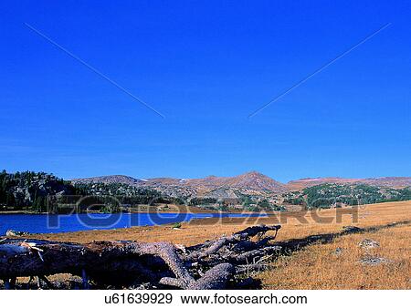 Stock Photo - Blue Sky, Day, Environment, Habitat. Fotosearch