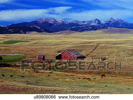 Stock Photograph - Blue Sky, Day, Environment, Habitat. Fotosearch