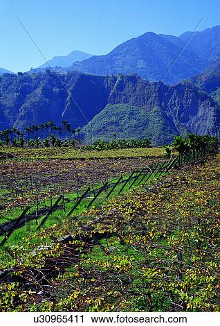 Blue Sky, Farming, Environment, Day, Agriculture View Large Photo Image Stock Image - Blue Sky, Farming, Environment, Day, Agriculture. Fotosearch