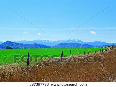 Stock Photograph - Blue Sky, Farming, Environment, Day, Agriculture. Fotosearch