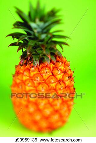 blurred, close-up, fresh fruit, freshness View Large Photo Image Stock Photograph - blurred, close-up, fresh fruit, freshness. Fotosearch