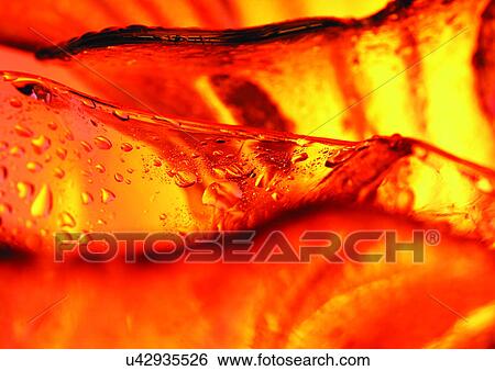 bright, close-up, dew View Large Photo Image Stock Photograph - bright, close-up, dew. Fotosearch