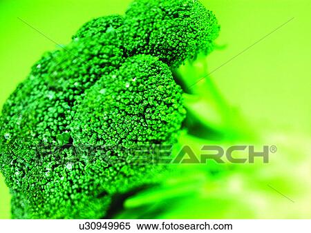 Stock Photography - broccoli, elements, food stuff. Fotosearch
