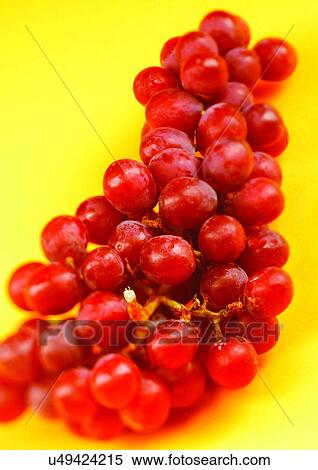 Stock Photography - bunch, bunch of grapes, close-up, fresh fruit. Fotosearch