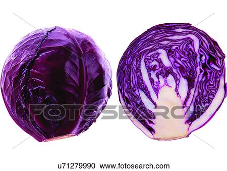 Stock Image - cabbage, covering, elements. Fotosearch