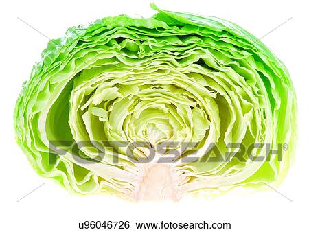 Stock Photograph - cabbage, covering, elements. Fotosearch