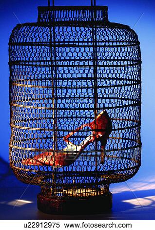 Stock Photography - cage, culture, close-up, accessories. Fotosearch